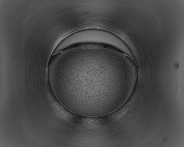 X0000091651234200708301412
