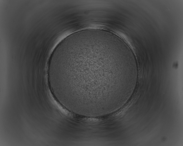 X0000091651235200708301412