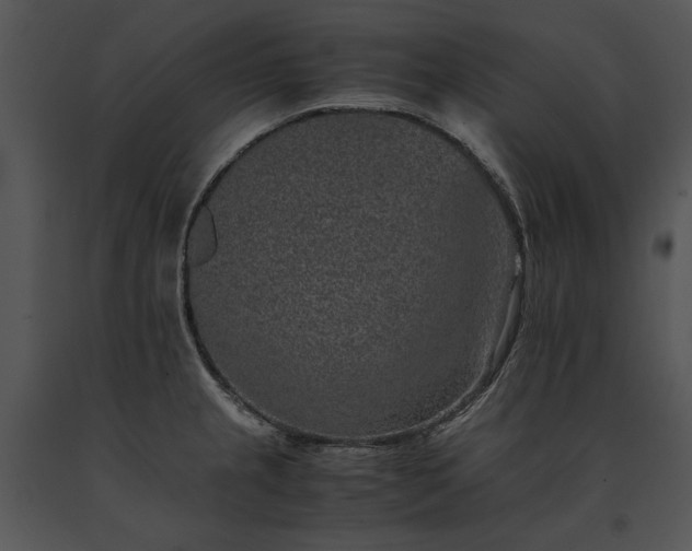 X0000091651237200708301412