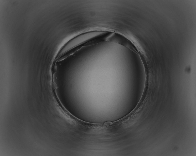 X0000091651238200708301412