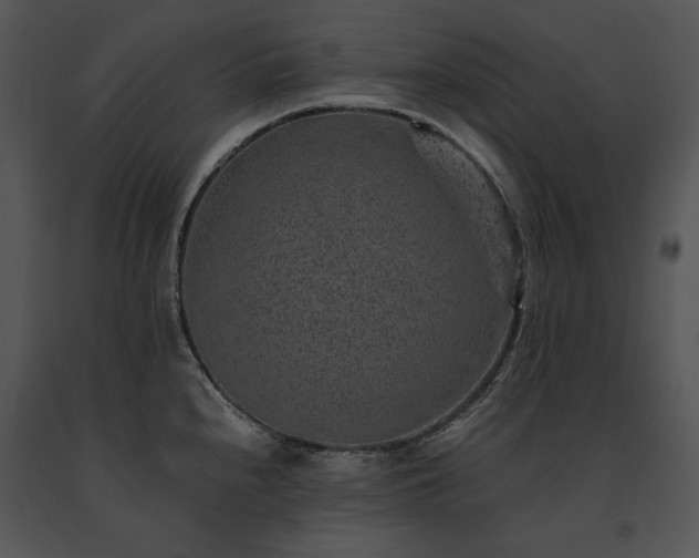 X0000091651240200708301412