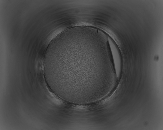 X0000091651241200708301412