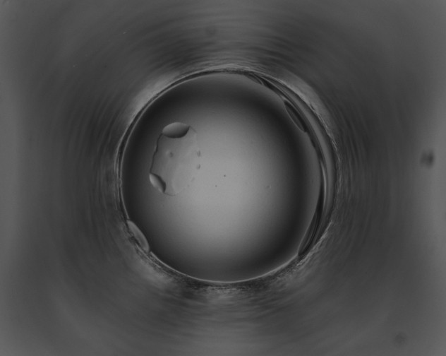 X0000091651242200708301412