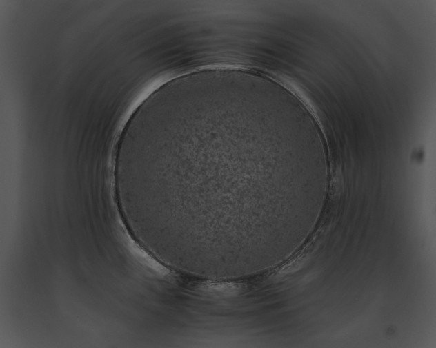 X0000091651243200708301412
