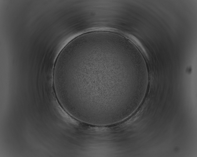 X0000091651244200708301412