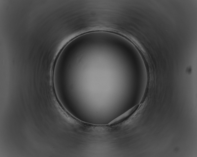 X0000091651246200708301412