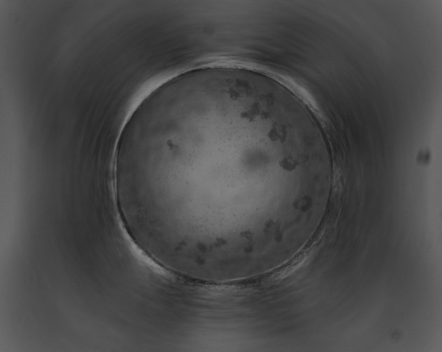 X0000091651247200708301412