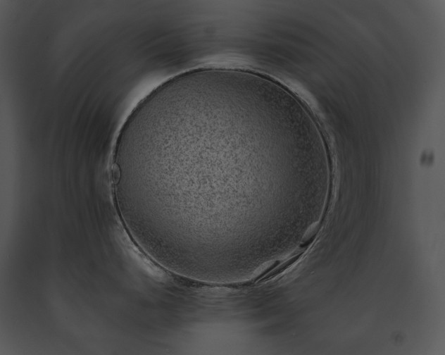 X0000091651248200708301412