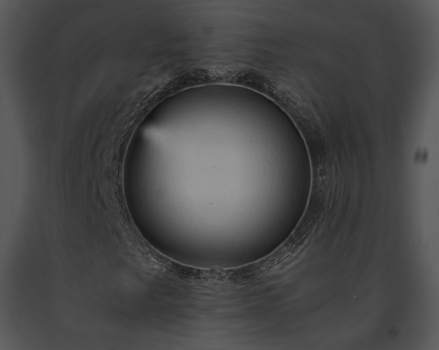 X0000091651249200708301412