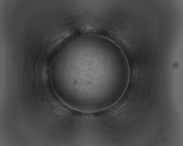 X0000091651250200708301412