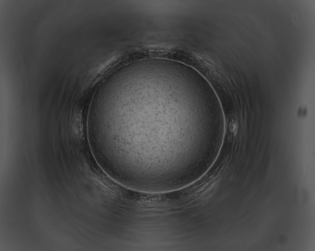 X0000091651252200708301412