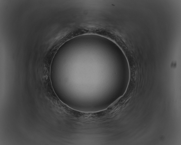 X0000091651253200708301412