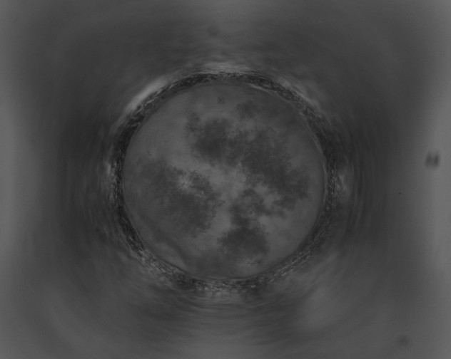 X0000091651254200708301412