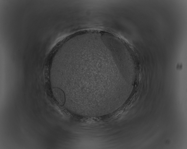 X0000091651255200708301412