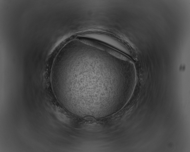 X0000091651256200708301412