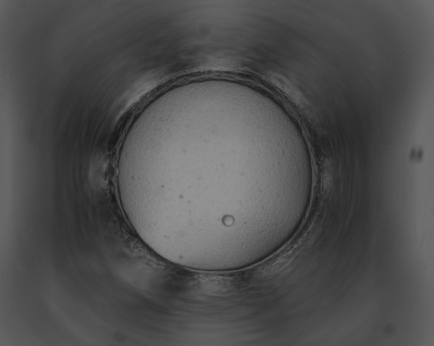 X0000091651258200708301412