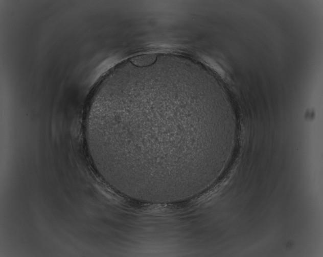 X0000091651259200708301412