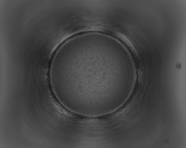X0000091651260200708301412