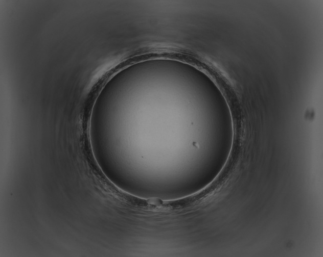 X0000091651261200708301412