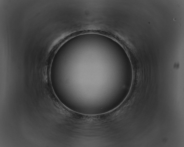 X0000091651262200708301412