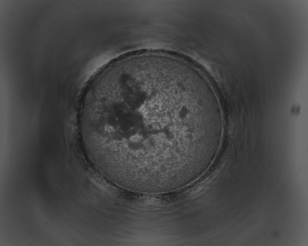 X0000091651263200708301412