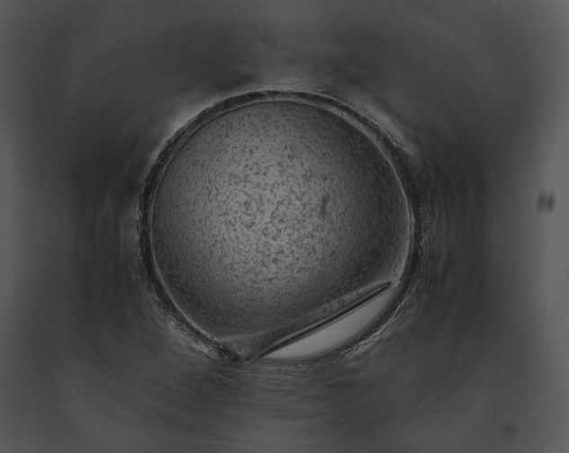X0000091651264200708301412