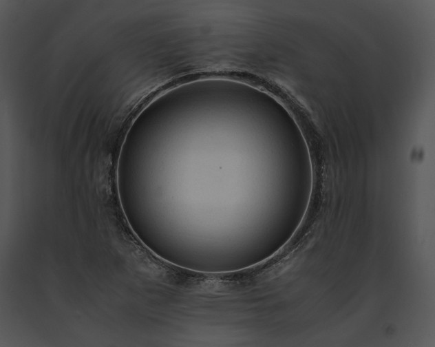 X0000091651265200708301412