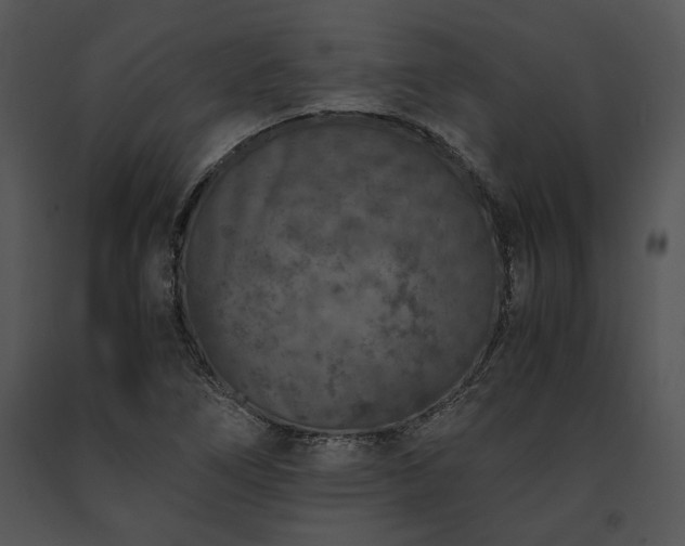 X0000091651266200708301412