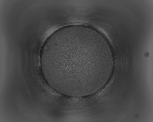 X0000091651267200708301412