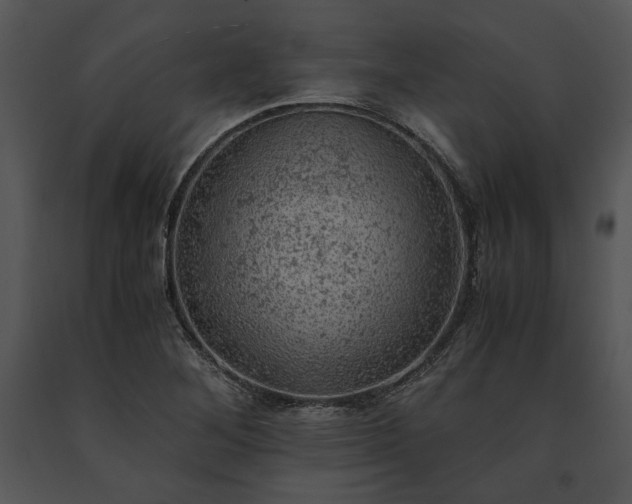 X0000091651268200708301412