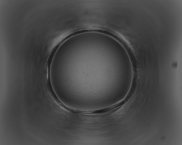 X0000091651269200708301412