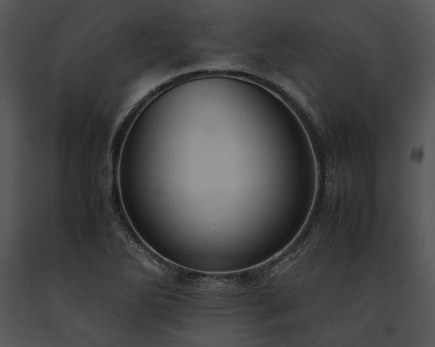 X0000091651270200708301412