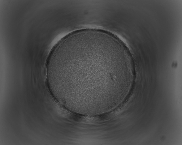 X0000091651271200708301412