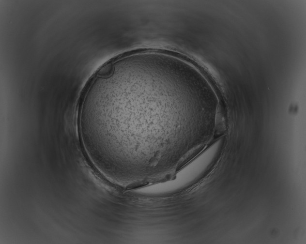 X0000091651272200708301412