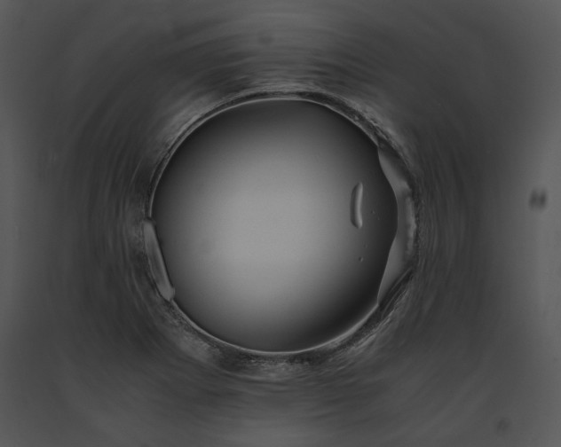 X0000091651273200708301412