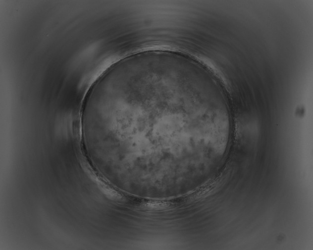 X0000091651274200708301411