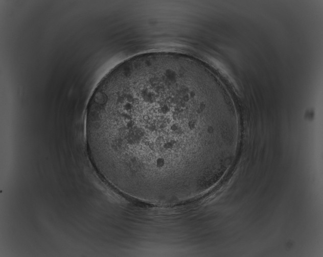 X0000091651275200708301411
