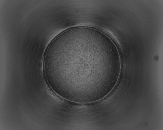 X0000091651276200708301411