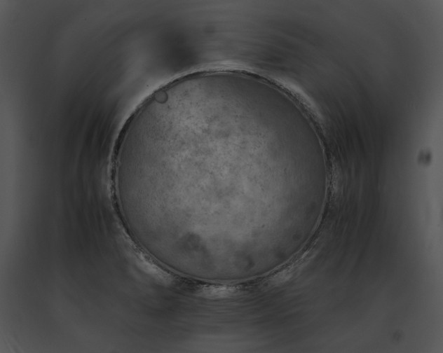 X0000091651278200708301411
