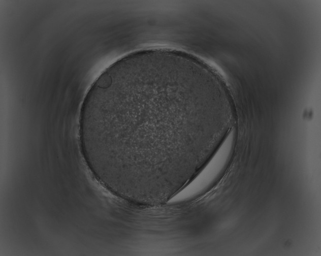 X0000091651279200708301411