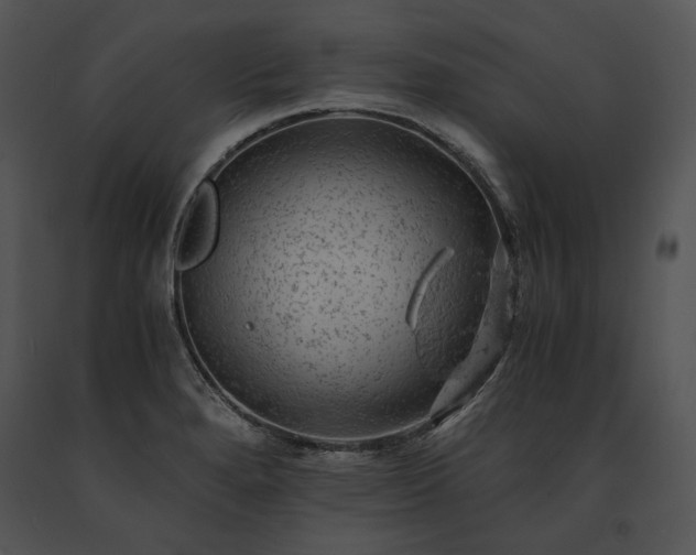 X0000091651280200708301411