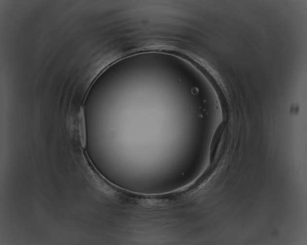 X0000091651281200708301411
