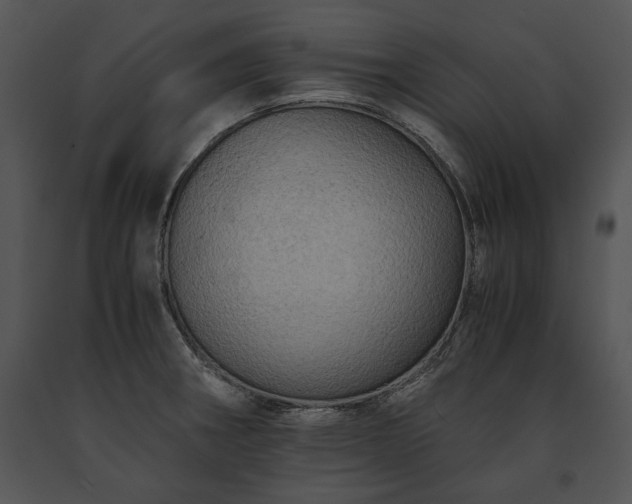 X0000091651282200708301411