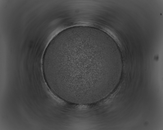 X0000091651283200708301411