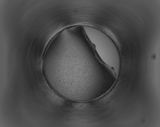 X0000091651284200708301411