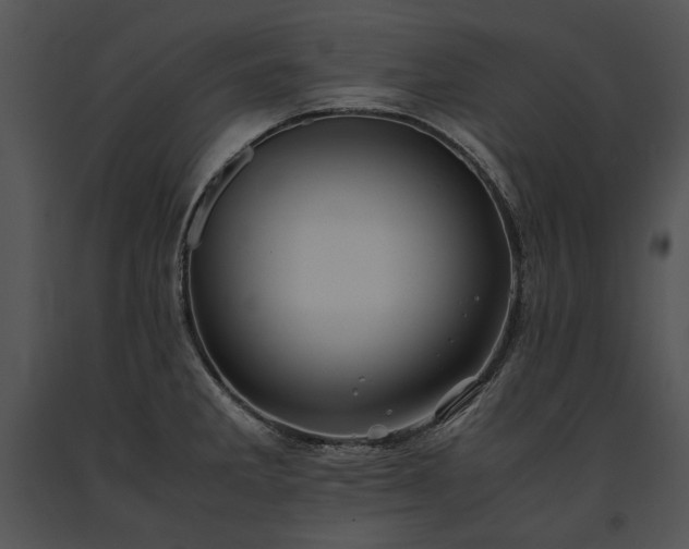 X0000091651285200708301411