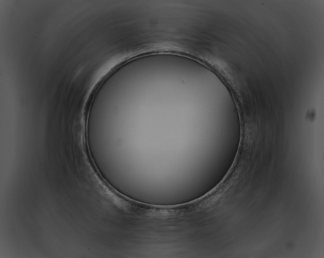 X0000091651286200708301411