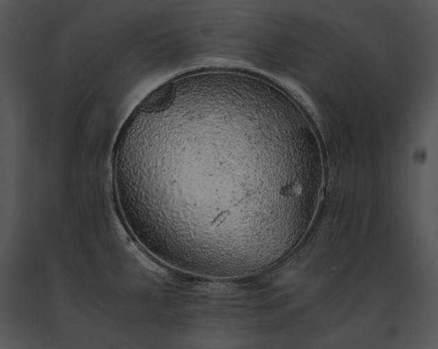X0000091651287200708301411
