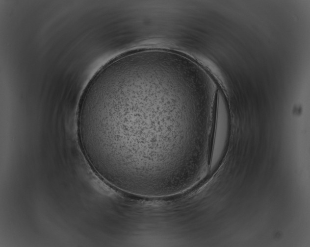 X0000091651288200708301411