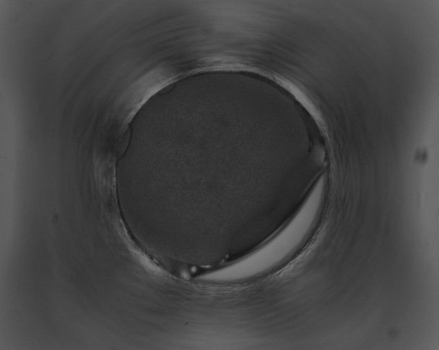 X0000091651289200708301411